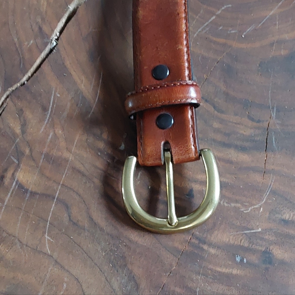 CABELLA'S STASH MONEY/TRAVEL BELT 40 - Picture 5 of 5